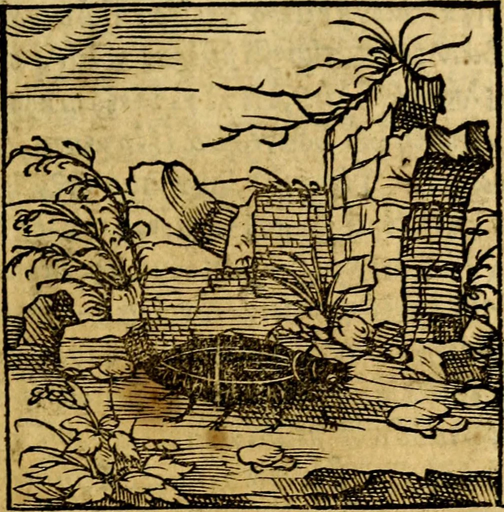 An illustration from Ori Apollonis Niliaci, de sacris notis & sculpturis libri duo, vbi ad fidem vetudti codicis manu scripti restituta sunt loca permulta, corrupta ante ac deplorata, 1551, leaf 42