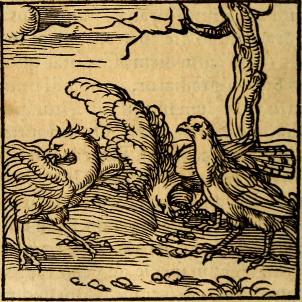 An illustration from Ori Apollonis Niliaci, de sacris notis & sculpturis libri duo, vbi ad fidem vetudti codicis manu scripti restituta sunt loca permulta, corrupta ante ac deplorata, 1551, leaf 45