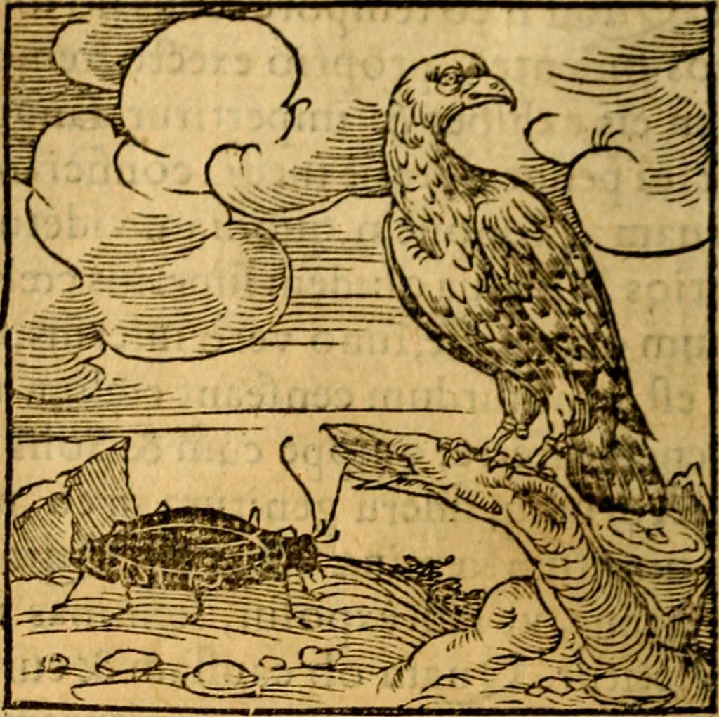 An illustration from Ori Apollonis Niliaci, de sacris notis & sculpturis libri duo, vbi ad fidem vetudti codicis manu scripti restituta sunt loca permulta, corrupta ante ac deplorata, 1551, leaf 51