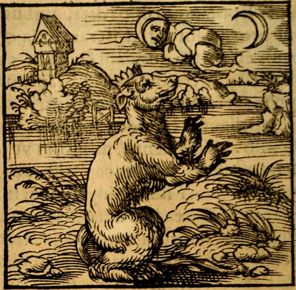 An illustration from Ori Apollonis Niliaci, de sacris notis & sculpturis libri duo, vbi ad fidem vetudti codicis manu scripti restituta sunt loca permulta, corrupta ante ac deplorata, 1551, leaf 57