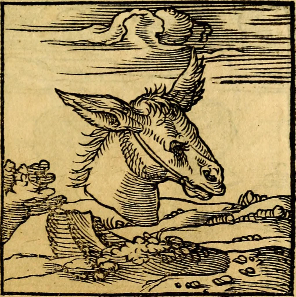 An illustration from Ori Apollonis Niliaci, de sacris notis & sculpturis libri duo, vbi ad fidem vetudti codicis manu scripti restituta sunt loca permulta, corrupta ante ac deplorata, 1551, leaf 68