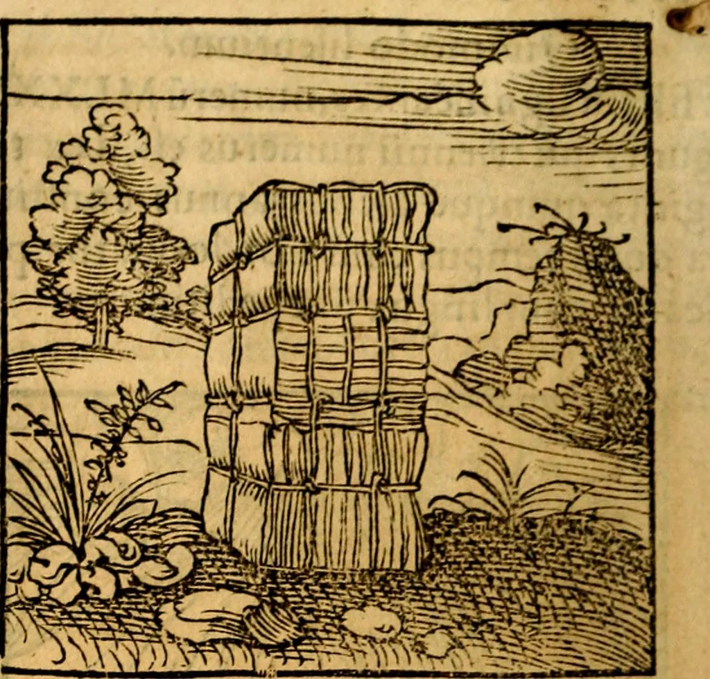 An illustration from Ori Apollonis Niliaci, de sacris notis & sculpturis libri duo, vbi ad fidem vetudti codicis manu scripti restituta sunt loca permulta, corrupta ante ac deplorata, 1551, leaf 75