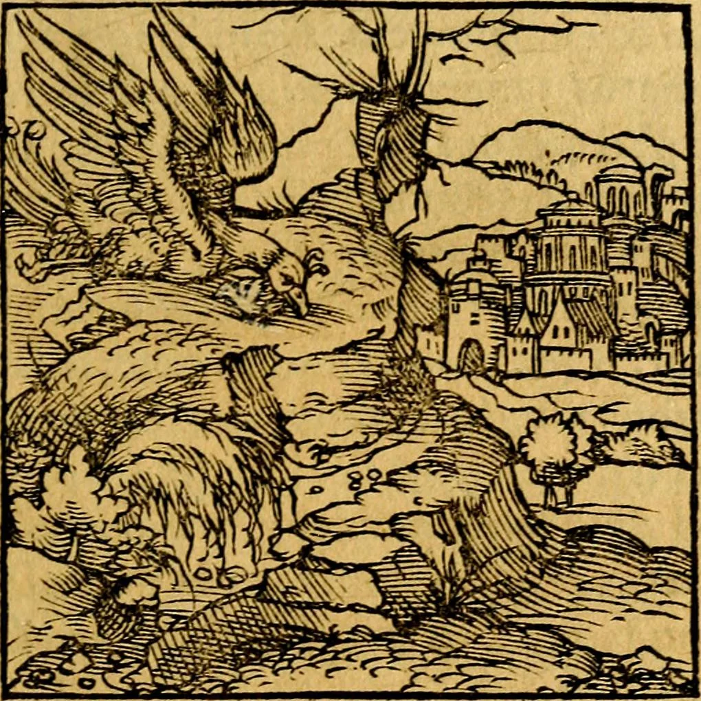 An illustration from Ori Apollonis Niliaci, de sacris notis & sculpturis libri duo, vbi ad fidem vetudti codicis manu scripti restituta sunt loca permulta, corrupta ante ac deplorata, 1551, leaf 80