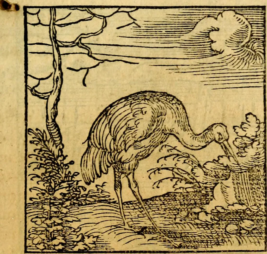 An illustration from Ori Apollonis Niliaci, de sacris notis & sculpturis libri duo, vbi ad fidem vetudti codicis manu scripti restituta sunt loca permulta, corrupta ante ac deplorata, 1551, leaf 82