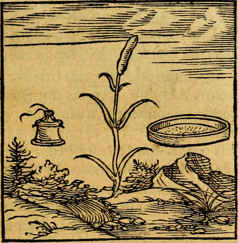 An illustration from Ori Apollonis Niliaci, de sacris notis & sculpturis libri duo, vbi ad fidem vetudti codicis manu scripti restituta sunt loca permulta, corrupta ante ac deplorata, 1551, leaf 84