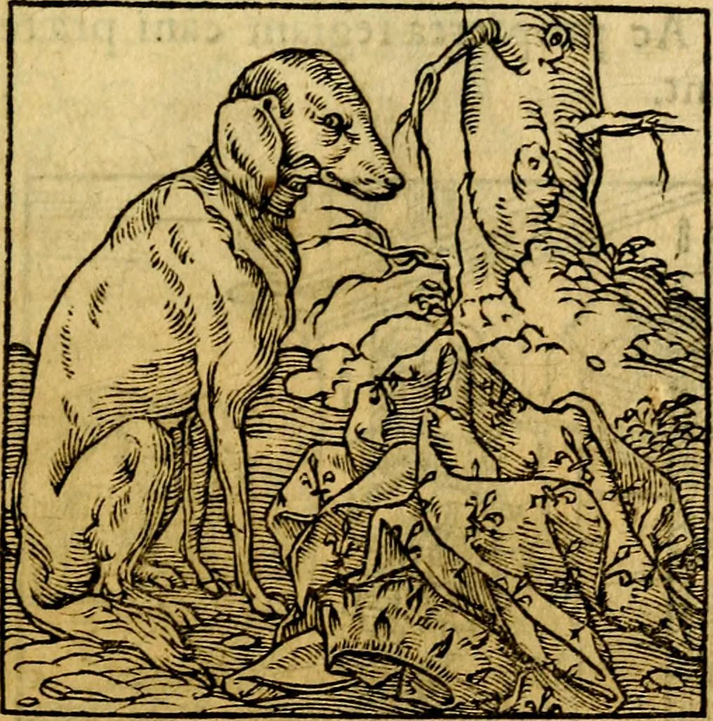 An illustration from Ori Apollonis Niliaci, de sacris notis & sculpturis libri duo, vbi ad fidem vetudti codicis manu scripti restituta sunt loca permulta, corrupta ante ac deplorata, 1551, leaf 88