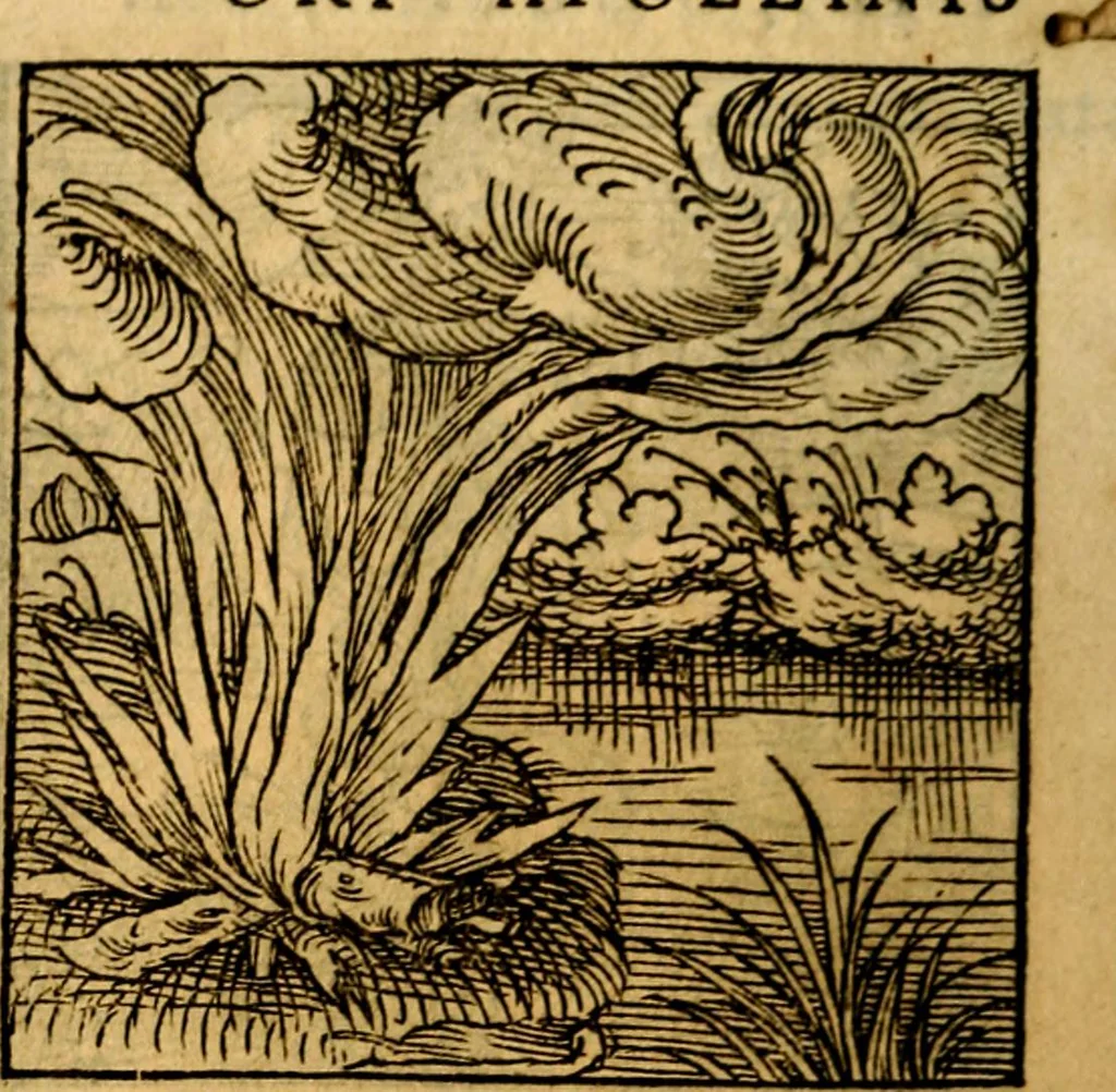 An illustration from Ori Apollonis Niliaci, de sacris notis & sculpturis libri duo, vbi ad fidem vetudti codicis manu scripti restituta sunt loca permulta, corrupta ante ac deplorata, 1551, leaf 91
