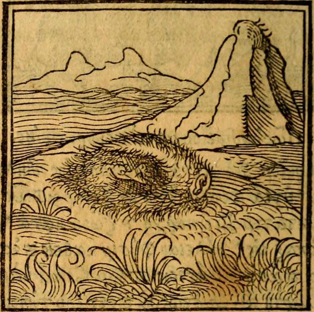 An illustration from Ori Apollonis Niliaci, de sacris notis & sculpturis libri duo, vbi ad fidem vetudti codicis manu scripti restituta sunt loca permulta, corrupta ante ac deplorata, 1551, leaf 95