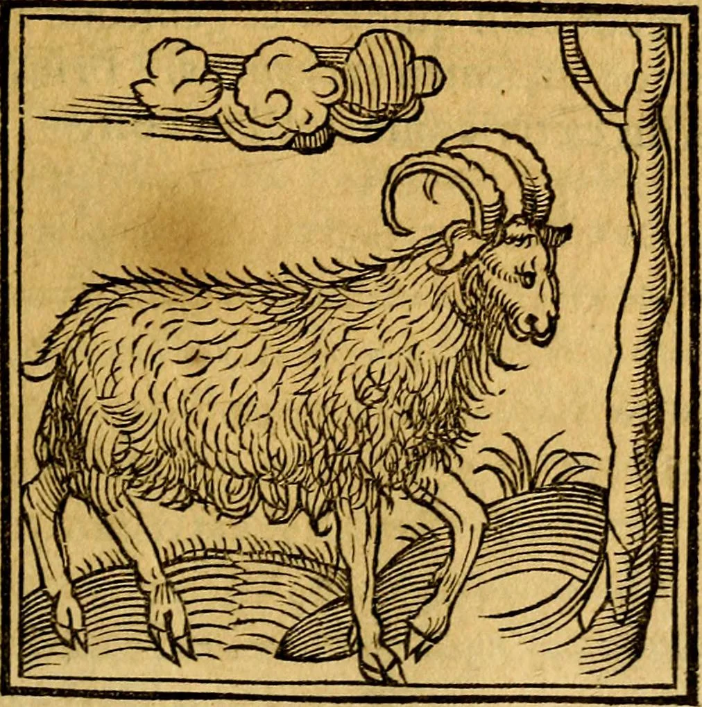 An illustration from Ori Apollonis Niliaci, de sacris notis & sculpturis libri duo, vbi ad fidem vetudti codicis manu scripti restituta sunt loca permulta, corrupta ante ac deplorata, 1551, leaf 96