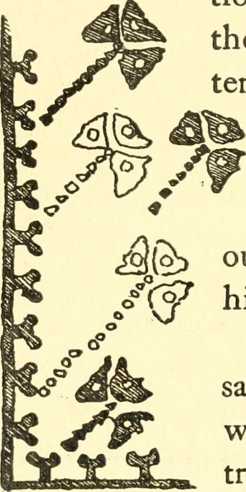 An illustration from The oriental rug; a monograph on eastern rugs and carpets, saddle-bags, mats & pillows, with a consideration of kinds and classes, types borders, figures, dyes, symbols, etc., together with some practical advice to collectors, 1909, leaf 45