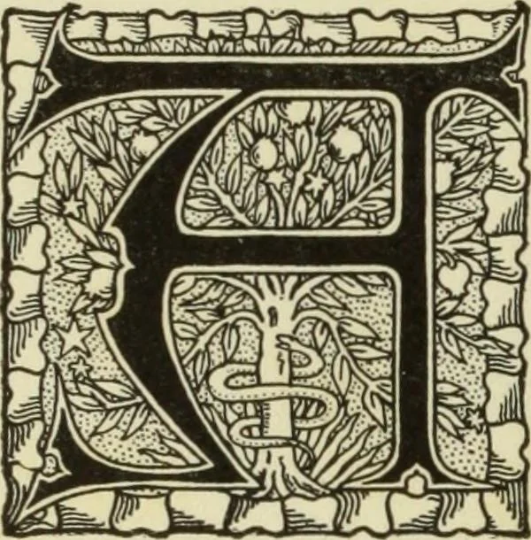 An illustration from Oriental rugs, antique and modern, 1922, leaf 41