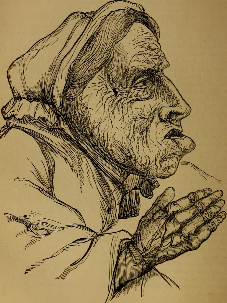 An illustration from An original and illustrated physiological and physiognomical chart, 1873, leaf 103