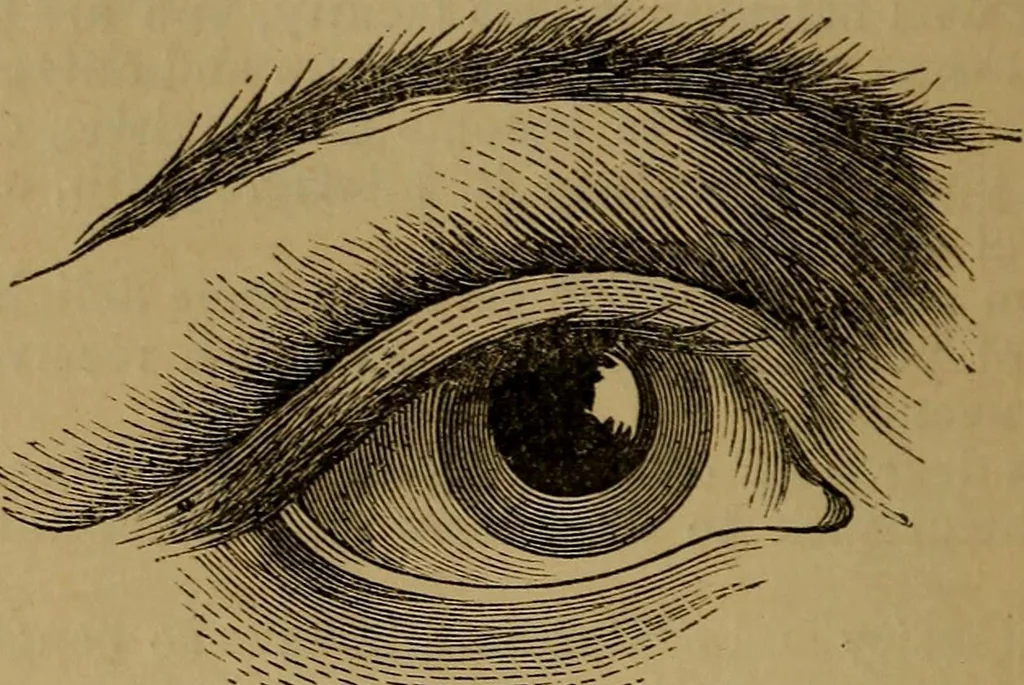 An illustration from An original and illustrated physiological and physiognomical chart, 1873, leaf 107