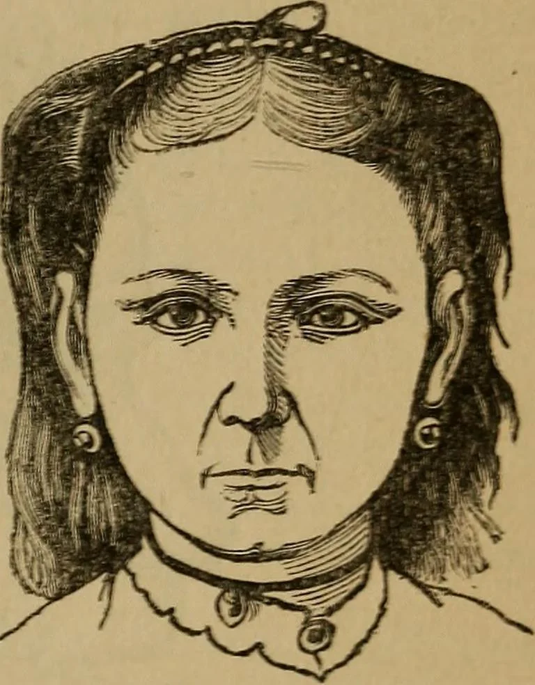 An illustration from An original and illustrated physiological and physiognomical chart, 1873, leaf 118