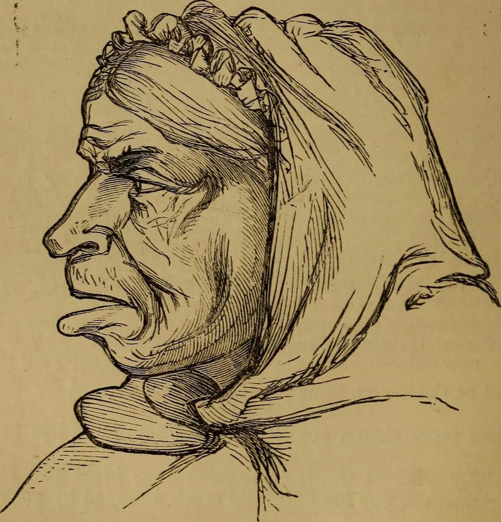An illustration from An original and illustrated physiological and physiognomical chart, 1873, leaf 119