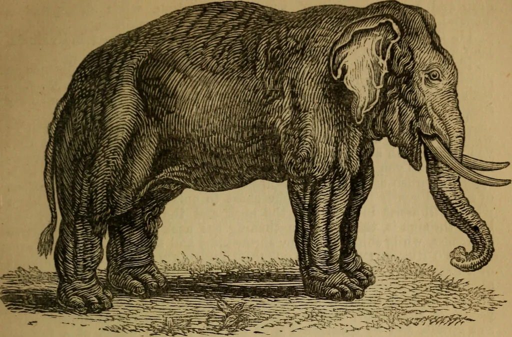 An illustration from An original and illustrated physiological and physiognomical chart, 1873, leaf 134