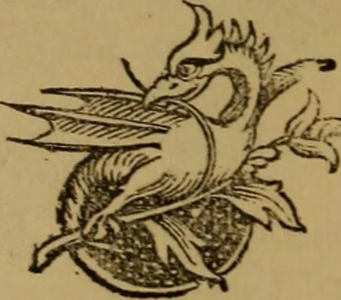 An illustration from An original and illustrated physiological and physiognomical chart, 1873, leaf 137