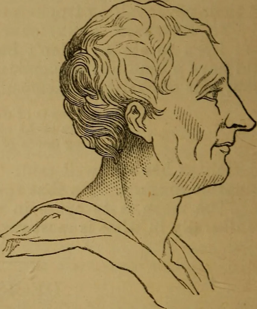 An illustration from An original and illustrated physiological and physiognomical chart, 1873, leaf 149