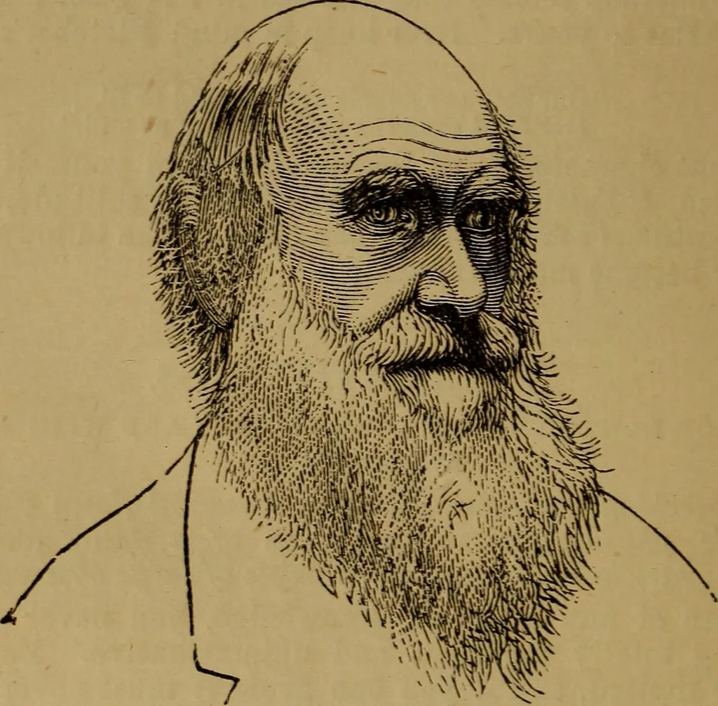An illustration from An original and illustrated physiological and physiognomical chart, 1873, leaf 151