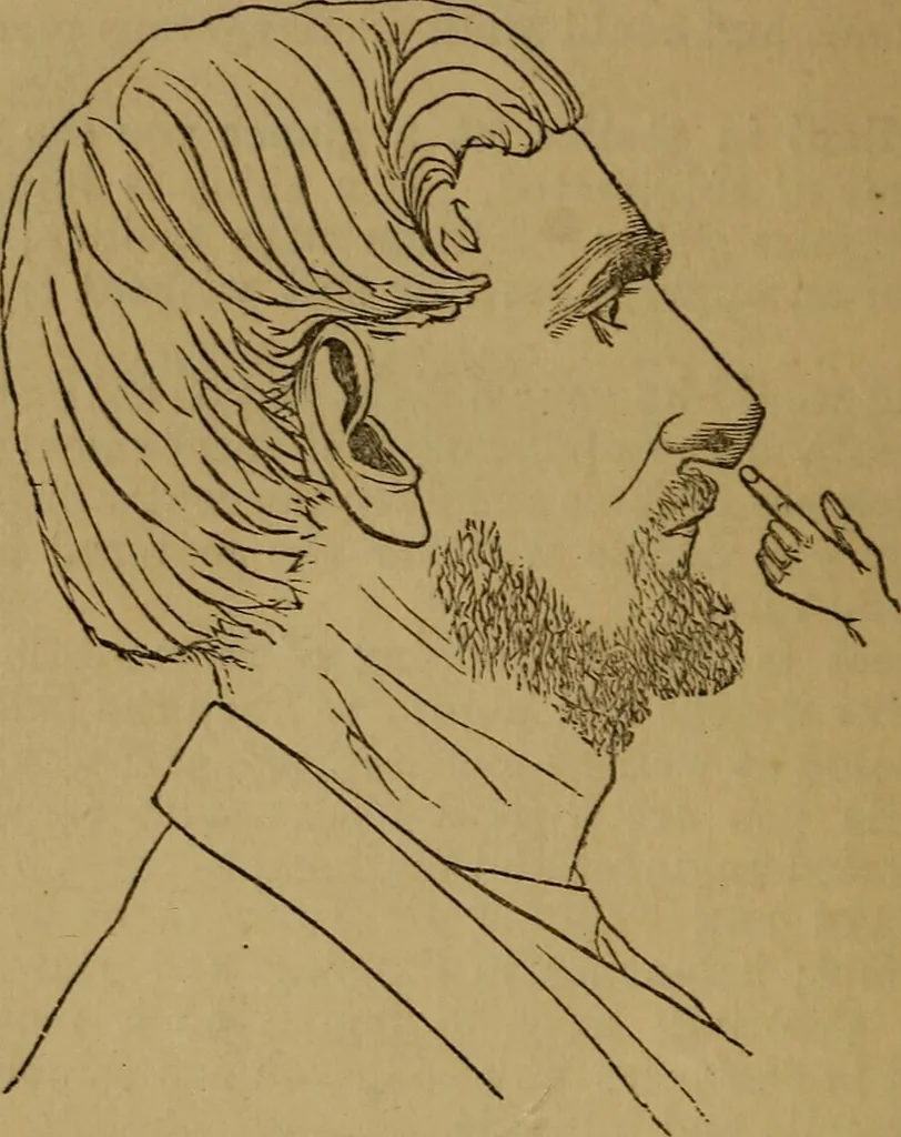 An illustration from An original and illustrated physiological and physiognomical chart, 1873, leaf 161