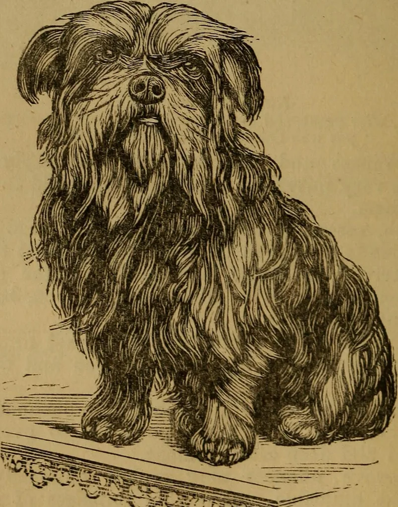 An illustration from An original and illustrated physiological and physiognomical chart, 1873, leaf 165
