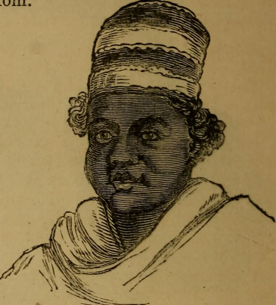 An illustration from An original and illustrated physiological and physiognomical chart, 1873, leaf 181