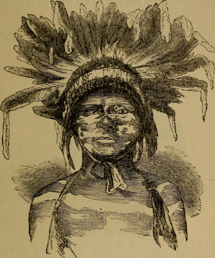An illustration from An original and illustrated physiological and physiognomical chart, 1873, leaf 196