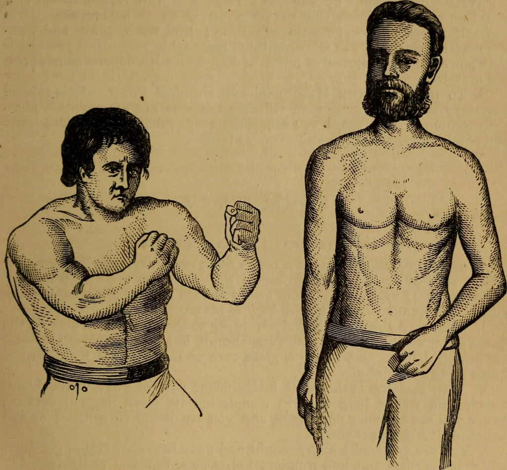 An illustration from An original and illustrated physiological and physiognomical chart, 1873, leaf 20
