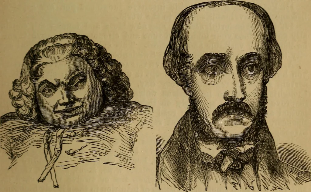 An illustration from An original and illustrated physiological and physiognomical chart, 1873, leaf 200