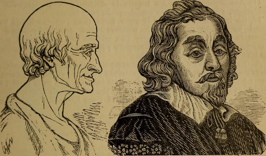 An illustration from An original and illustrated physiological and physiognomical chart, 1873, leaf 216