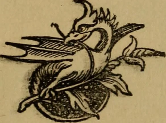 An illustration from An original and illustrated physiological and physiognomical chart, 1873, leaf 222