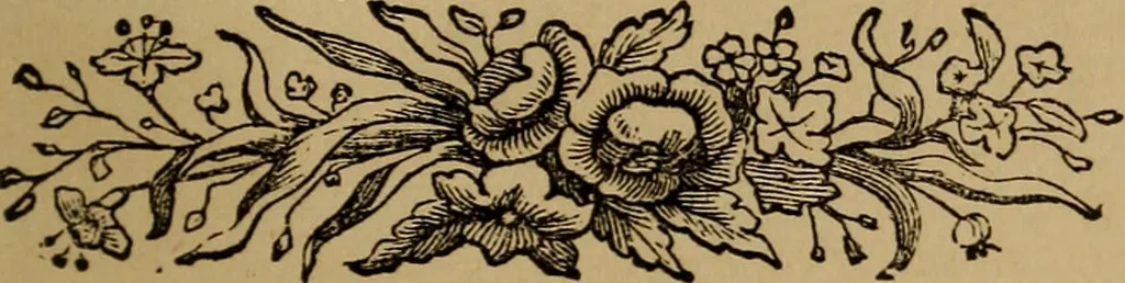An illustration from An original and illustrated physiological and physiognomical chart, 1873, leaf 232