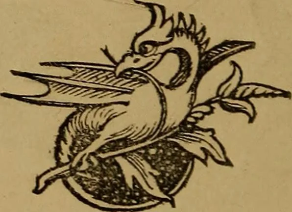 An illustration from An original and illustrated physiological and physiognomical chart, 1873, leaf 53