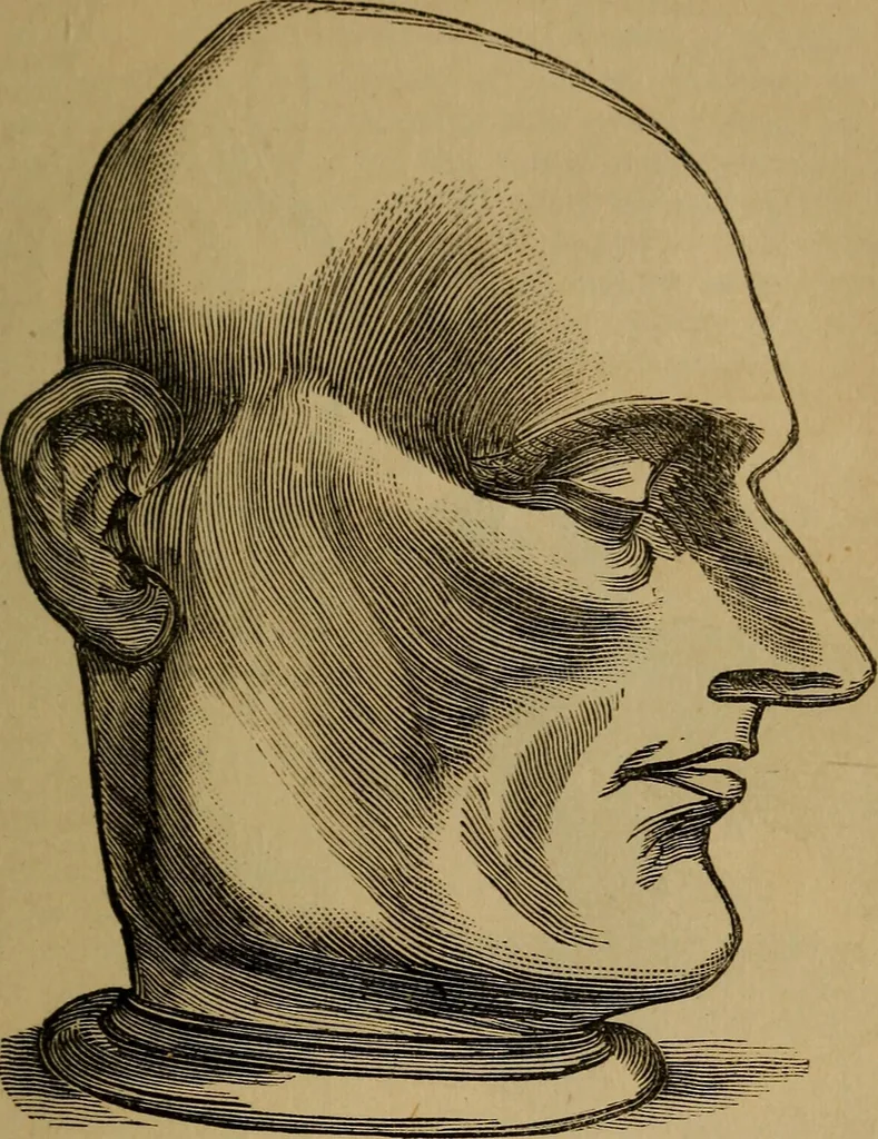 An illustration from An original and illustrated physiological and physiognomical chart, 1873, leaf 72