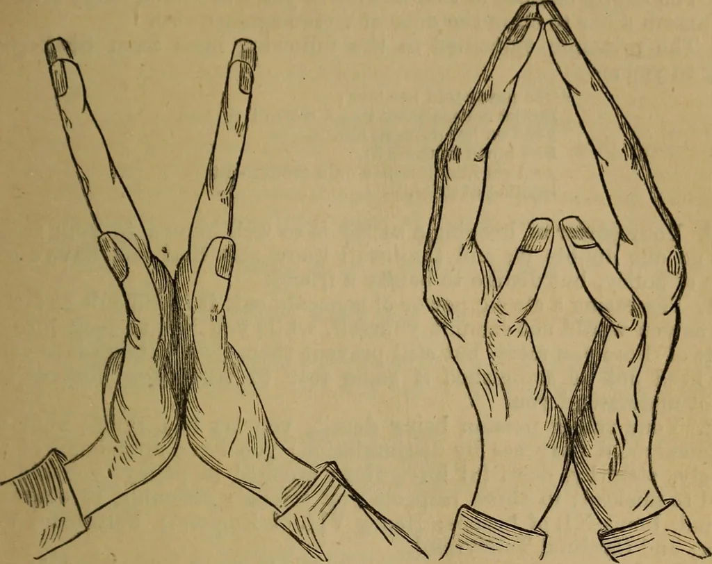 An illustration from An original and illustrated physiological and physiognomical chart, 1873, leaf 90
