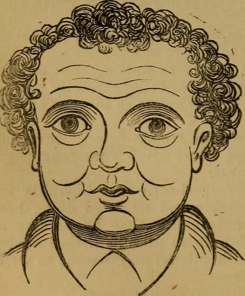 An illustration from An original and illustrated physiological and physiognomical chart, 1873, leaf 93