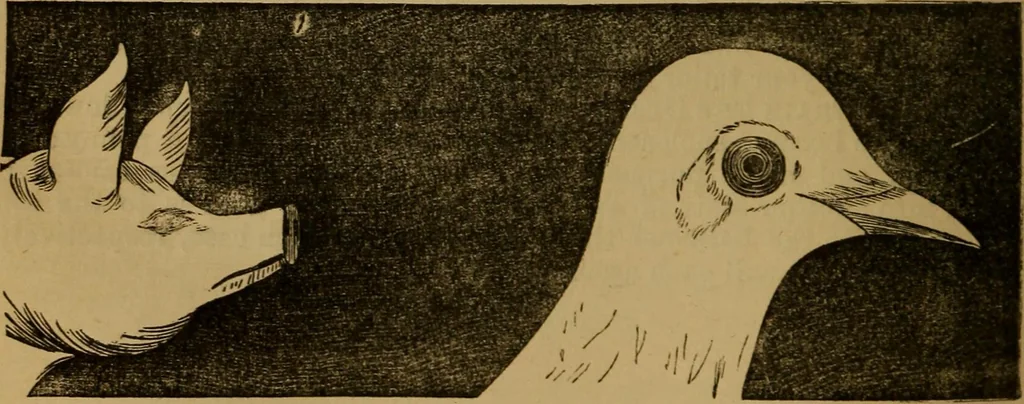 An illustration from An original and illustrated physiological and physiognomical chart, 1873, leaf 97