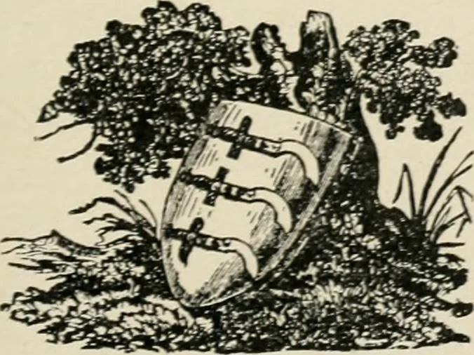 An illustration from Origin and history of the American flag and of the naval and yacht-club signals, seals and arms, and principal national songs of the United States, with a chronicle of the symbols, standards, banners, and flags of ancient and modern nations, 1917, leaf 154