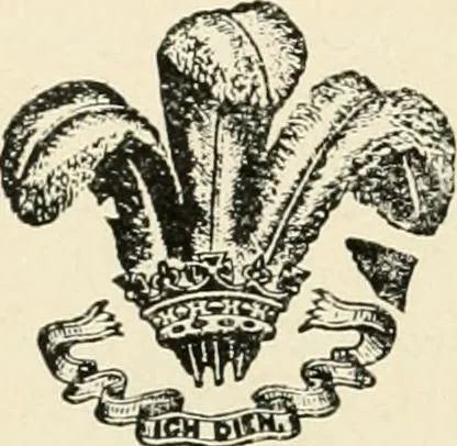 An illustration from Origin and history of the American flag and of the naval and yacht-club signals, seals and arms, and principal national songs of the United States, with a chronicle of the symbols, standards, banners, and flags of ancient and modern nations, 1917, leaf 163
