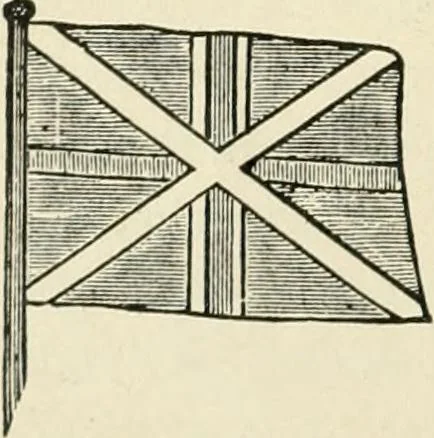 An illustration from Origin and history of the American flag and of the naval and yacht-club signals, seals and arms, and principal national songs of the United States, with a chronicle of the symbols, standards, banners, and flags of ancient and modern nations, 1917, leaf 223