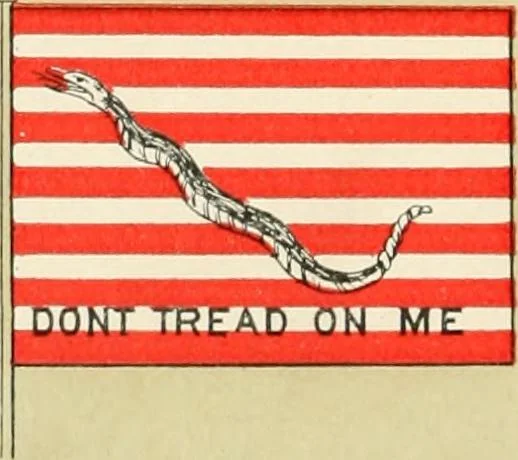 An illustration from Origin and history of the American flag and of the naval and yacht-club signals, seals and arms, and principal national songs of the United States, with a chronicle of the symbols, standards, banners, and flags of ancient and modern nations, 1917, leaf 229