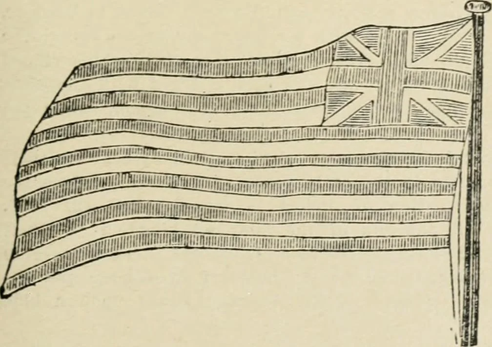 An illustration from Origin and history of the American flag and of the naval and yacht-club signals, seals and arms, and principal national songs of the United States, with a chronicle of the symbols, standards, banners, and flags of ancient and modern nations, 1917, leaf 256