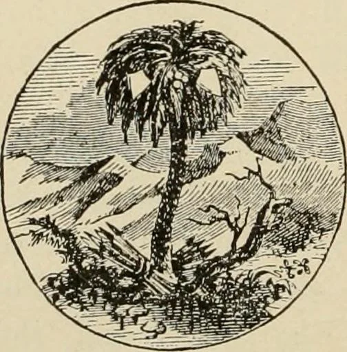 An illustration from Origin and history of the American flag and of the naval and yacht-club signals, seals and arms, and principal national songs of the United States, with a chronicle of the symbols, standards, banners, and flags of ancient and modern nations, 1917, leaf 247