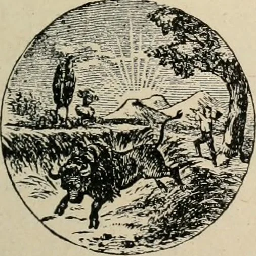 An illustration from Origin and history of the American flag and of the naval and yacht-club signals, seals and arms, and principal national songs of the United States, with a chronicle of the symbols, standards, banners, and flags of ancient and modern nations, 1917, leaf 262