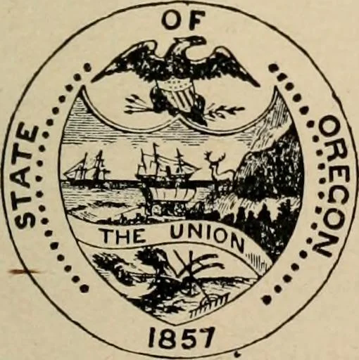 An illustration from Origin and history of the American flag and of the naval and yacht-club signals, seals and arms, and principal national songs of the United States, with a chronicle of the symbols, standards, banners, and flags of ancient and modern nations, 1917, leaf 268