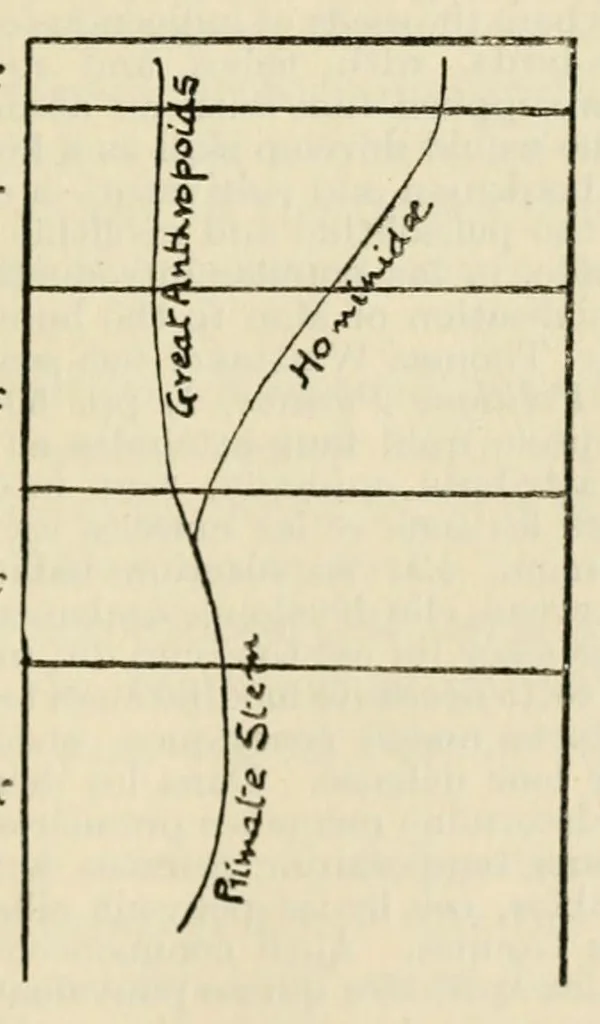 An illustration from The origin of man and of his superstitions, 1920, leaf 19