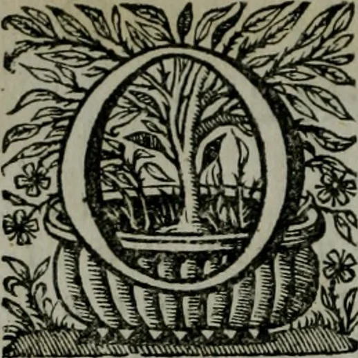 An illustration from Originum Gallicarum liber ... : Cui accedit antiquae linguae Britannicae lexicon Britannico-Latinum cum adjectis & insertis ejusdem authoris Adagiis Britannicis sapientiae veterum Druidum reliquiis, & aliis antiquitatis Britannicae Gallicaeque nonnnullis monumentis, 1654, leaf 9