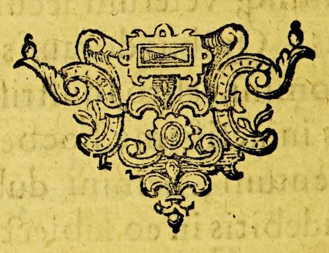 An illustration from Origo & historia belgicorum tumultuum. : Immanissimaeque crudelitatis per Cliviam & VVestphaliam patratae fidelissime conscripta & tabellis aeneis repraesentata: accedit Historia de furoribus gallicis., 1619, leaf 16
