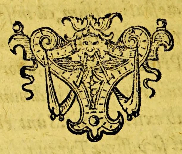 An illustration from Origo & historia belgicorum tumultuum. : Immanissimaeque crudelitatis per Cliviam & VVestphaliam patratae fidelissime conscripta & tabellis aeneis repraesentata: accedit Historia de furoribus gallicis., 1619, leaf 20