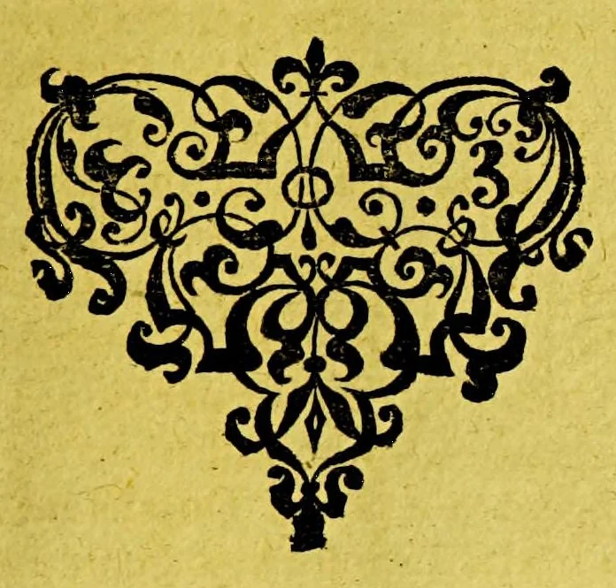 An illustration from Origo & historia belgicorum tumultuum. : Immanissimaeque crudelitatis per Cliviam & VVestphaliam patratae fidelissime conscripta & tabellis aeneis repraesentata: accedit Historia de furoribus gallicis., 1619, leaf 213